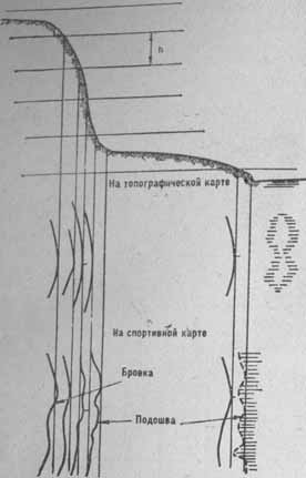 Подошвы и бровки