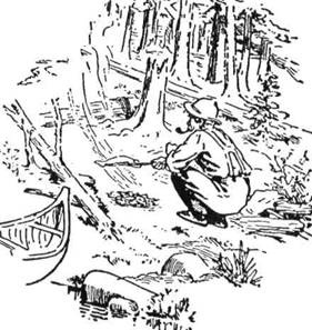 Вишколений лісовик знає життя в лісах. Він знає тисячі різних способів, щоб вигідно влаштуватись