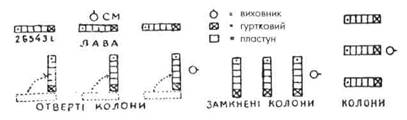 Побудова ладів