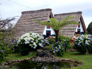 Сільський туризм як один із напрямів розвитку підприємництва на селі