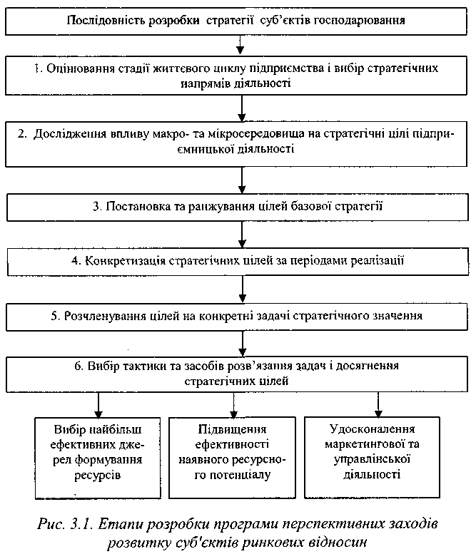 Етапи розробки програми перспективих заходів розвитку суб'єктів ринкових відносин