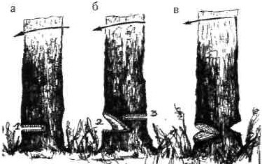 Рис. 12.12. Черговість запилів (а, б) та підрубів (в) при валці дерева