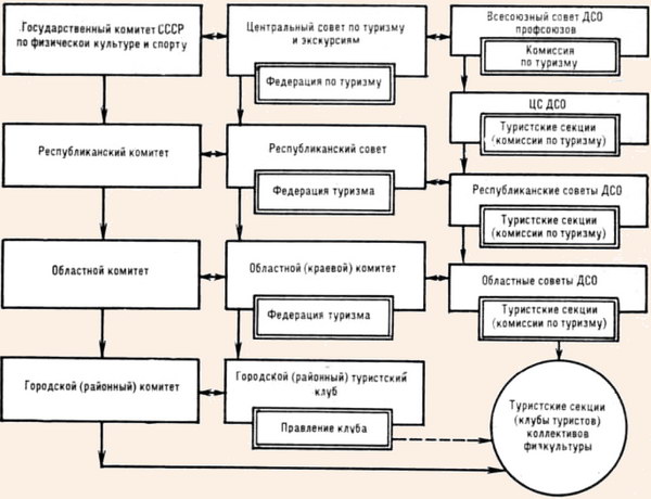 Организационно-управленческая структура самодеятельного туризма