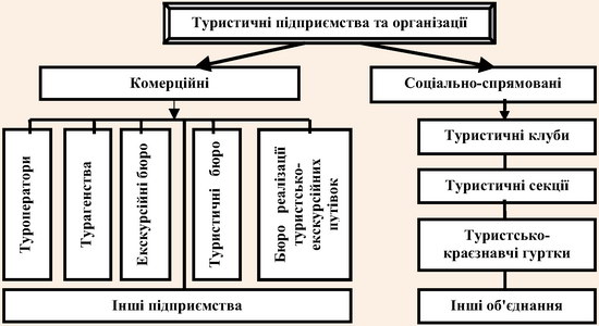 Типізація туристичних підприємств та організацій