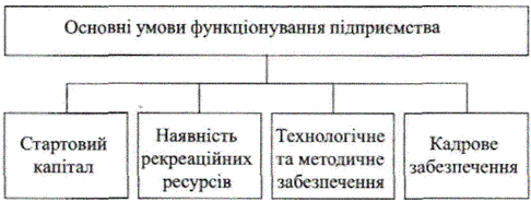 Основні умови функціонування підприємства