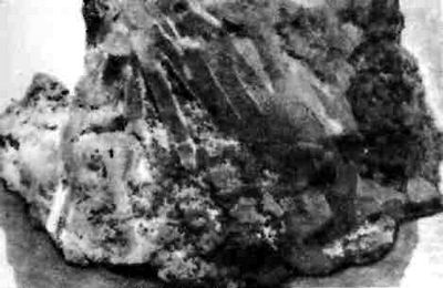 Крупнокристаллический барит из Береговского месторождения