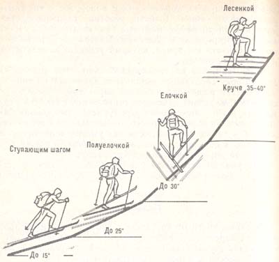Способы подъема на лыжах в зависимости от крутизны склона
