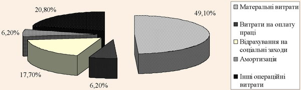 Структура витрат підприємств готельного господарства в цілому по Україні за 2010 рік