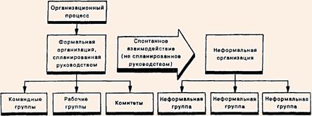 Механизм образования формальных и неформальных организаций