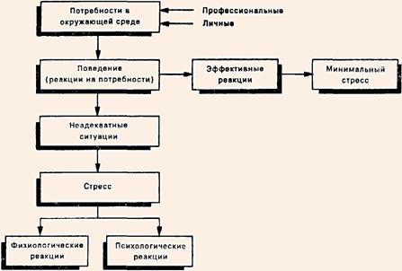Модель стрессовой реакции