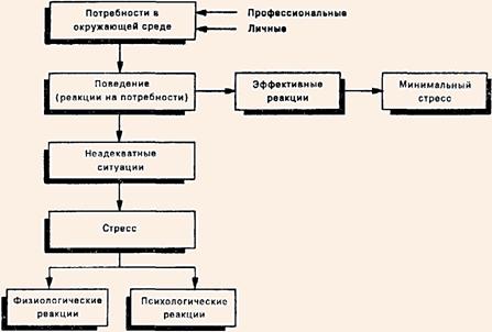 Модель стрессовой реакции