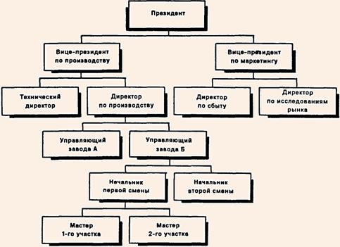 Высокая структура организации