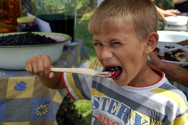 Гастрономічний фестиваль чорниць Верховинська яфина