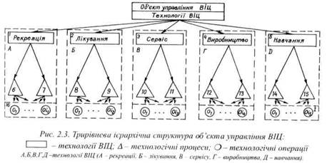 Трирівнева ієрхарична структура об'єкта управління ВІЦ