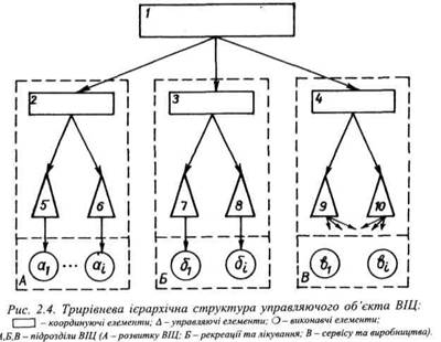 Трирівнева ієрархічна структура управляючого об'єкта ВІЦ