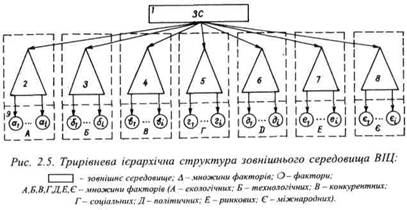 Трирівнева ієрархічна структура зовнішнього середовища ВІЦ