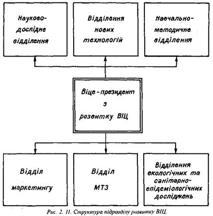 Структура підрозділу розвитку ВІЦ