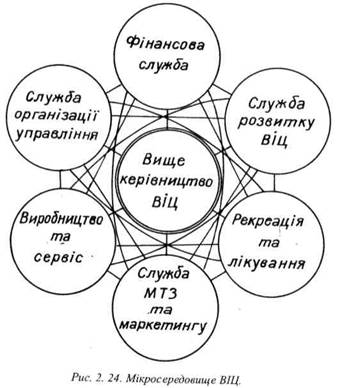 Мікросередовище ВІЦ