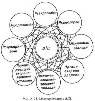 Мезосередовище ВІЦ