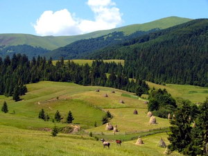 Територіальне планування та розвиток туристичної індустрії