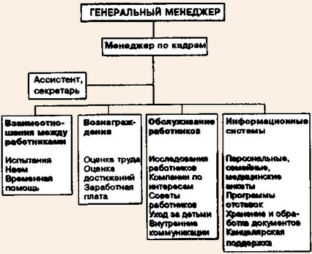 Функциональная организационная схема департамента по управлению человеческими ресурсами отеля