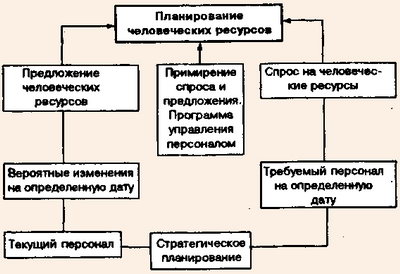 Основные этапы планирования человеческих ресурсов