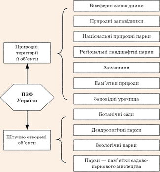 Структура типів територій і об'єктів, включених у природно-заповідний фонд (ПЗФ) України