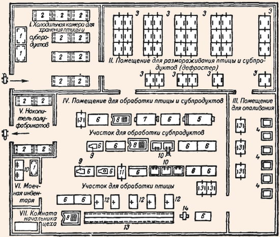 Оборудование птицегольевого цеха