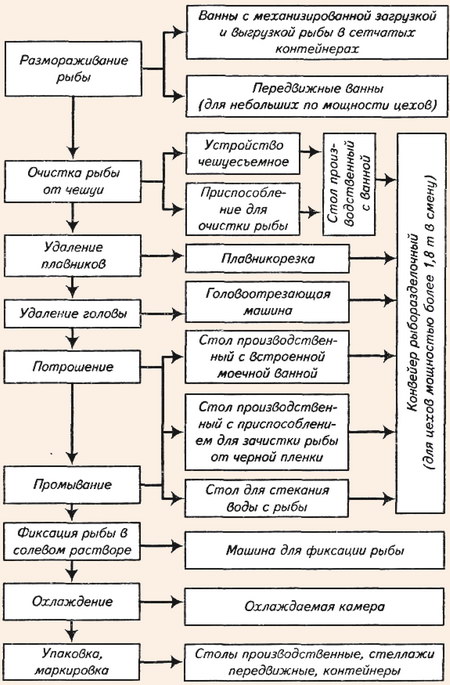 Организация рабочих мест на линии обработки рыбы с костным скелетом