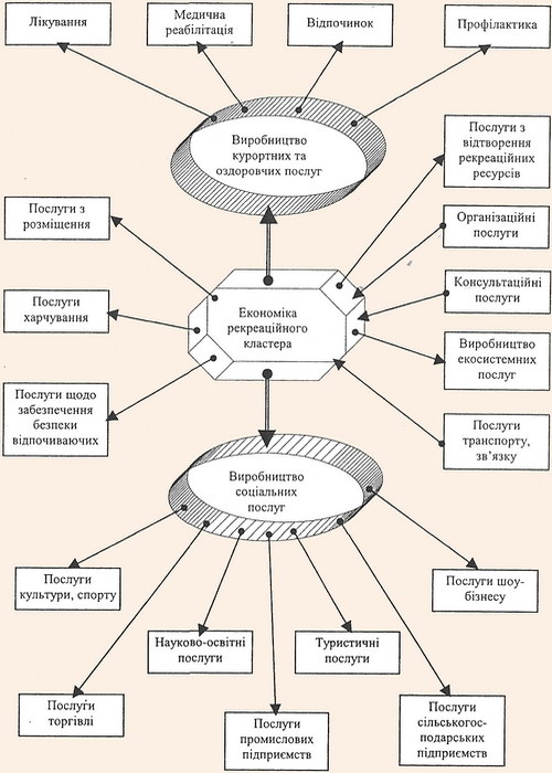 Функціонально-галузева структура рекреаційного кластера