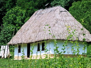 Фактори розвитку сучасного сільського зеленого туризму