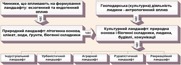 Схема розвитку і диференціації ландшафту