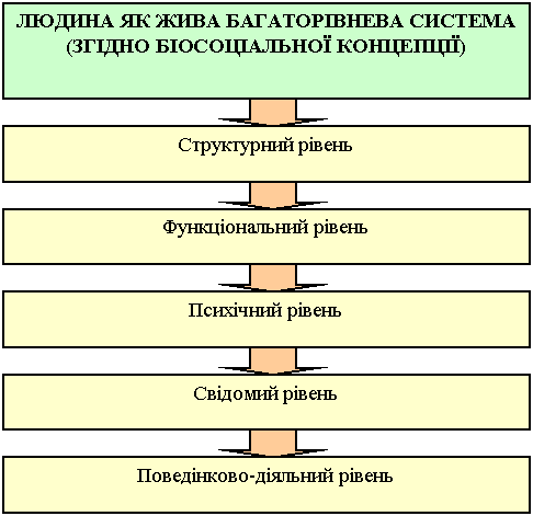 людина як жива багаторівнева система (згідно біосоціальної концепції)