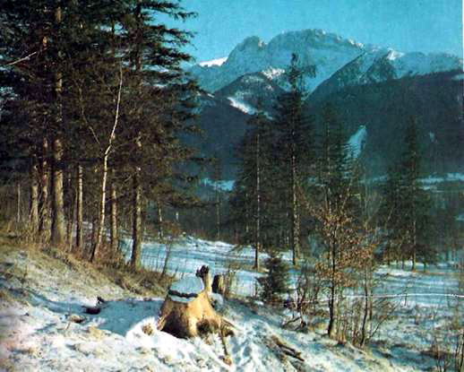 Національний парк Мала Фатра, головний гребінь