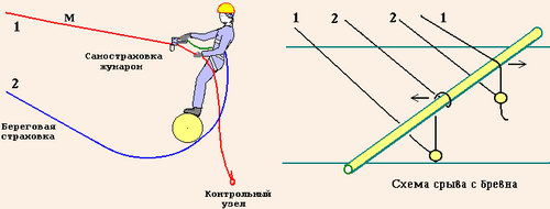 Бревно над каньоном