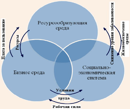 Формирование экономической эффективности в результате взаимодействия бизнес-среды, социально-экономической системы и ресурсообразующей среды